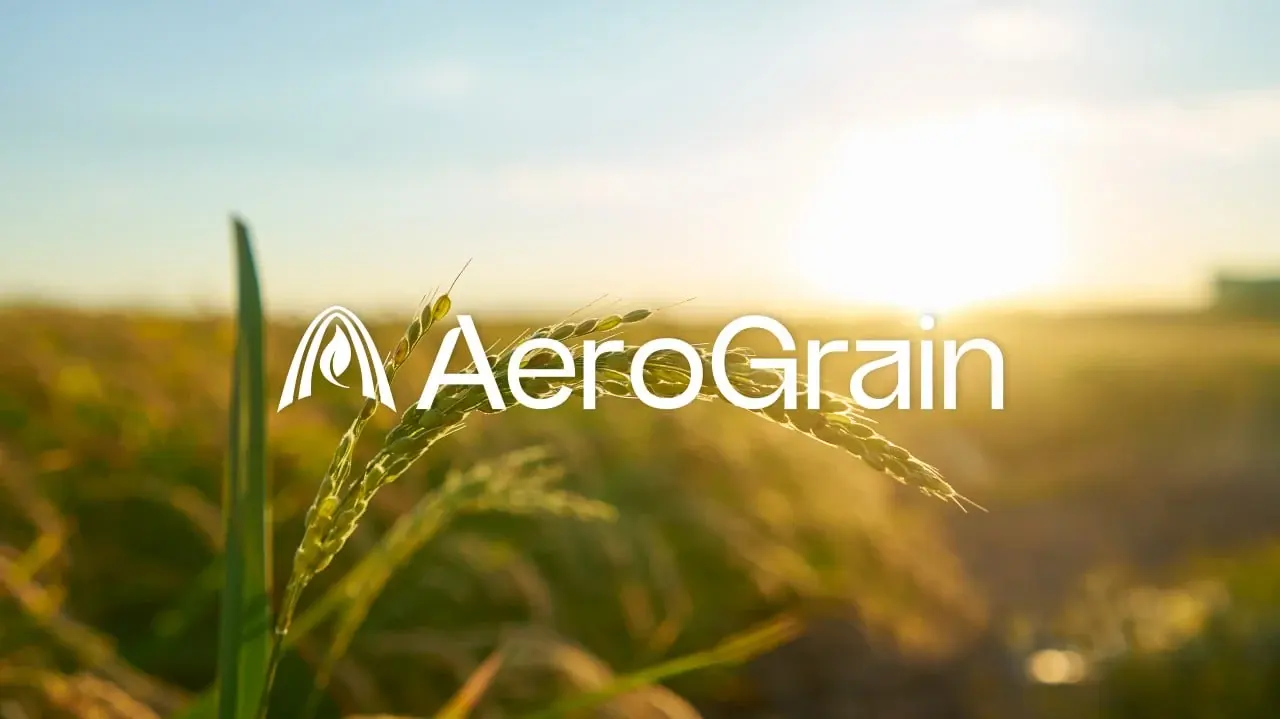 AeroGrain identity over a sunlit grain field